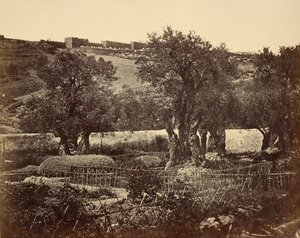 El jardín de Getsemaní de James Robertson